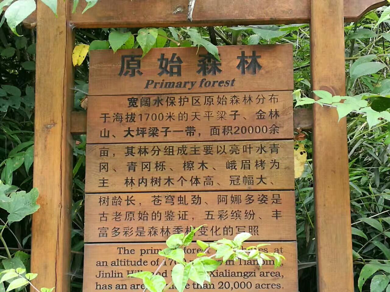 安眠之地东方的第三块石碑下_安眠之地东方的石碑_安眠在东方的第三块
