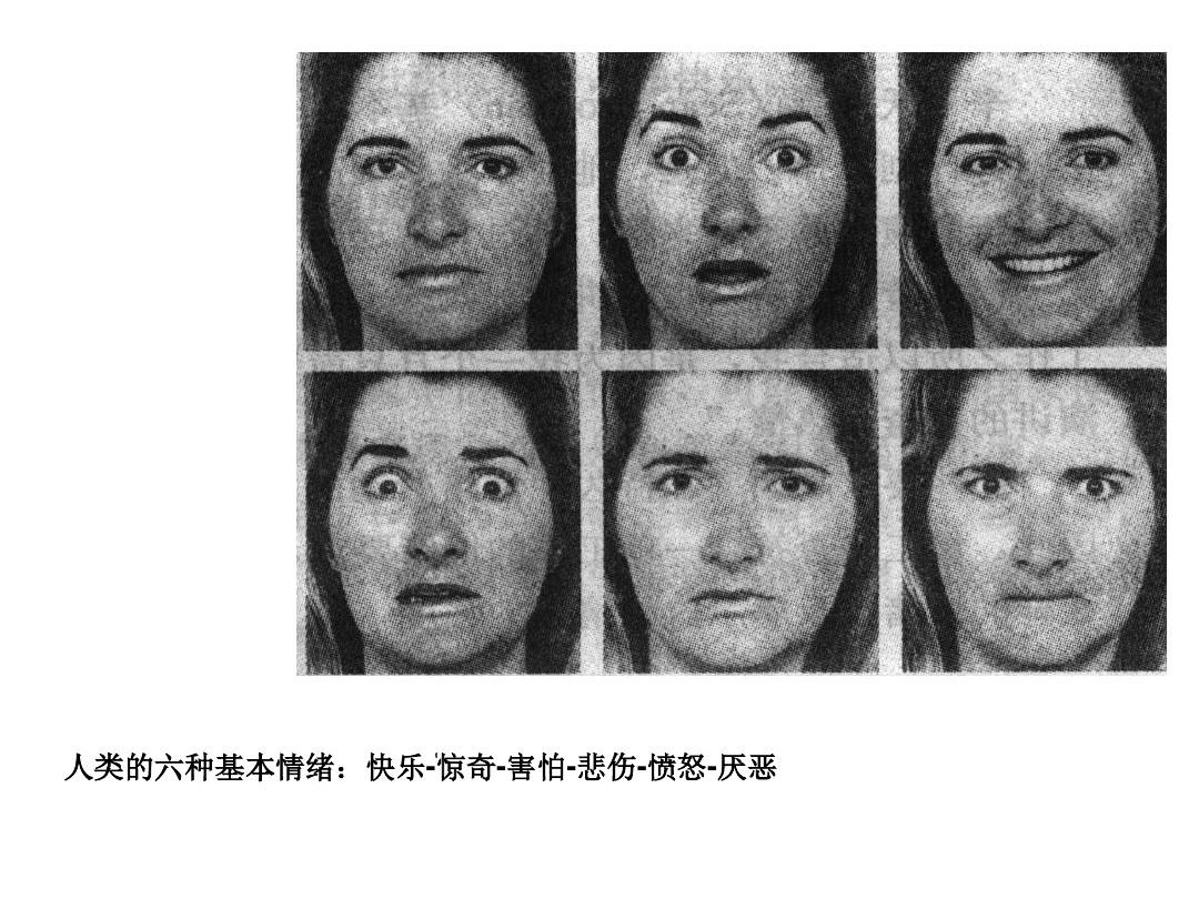 小说情感语录_小说情意绵绵慕少的私有宠爱_六情小说