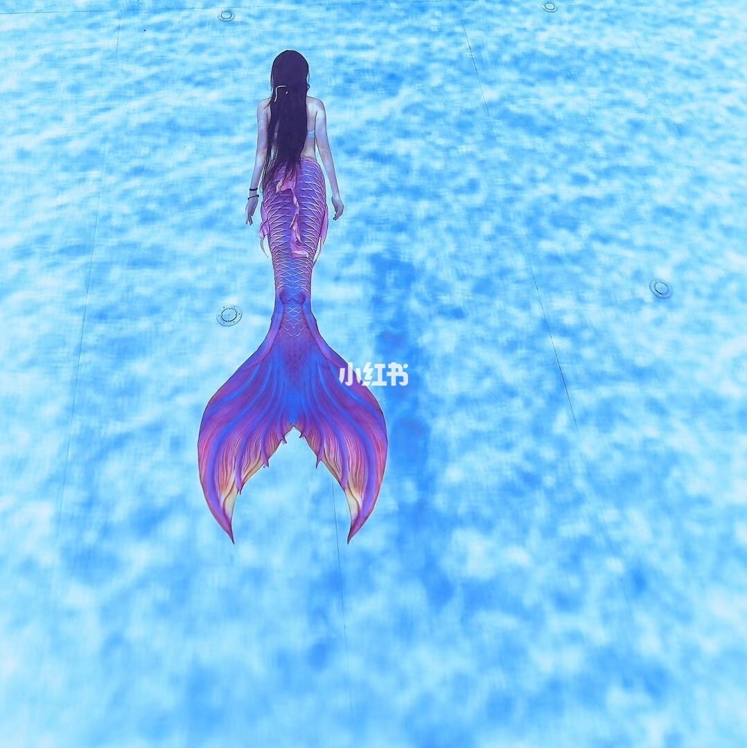 梦幻美人鱼，引领你探索神秘海底