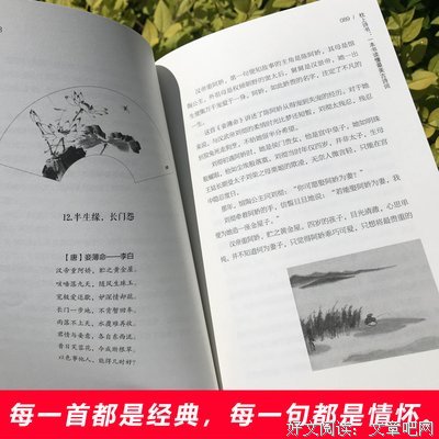 落花在哪_落花视频_落花网地址