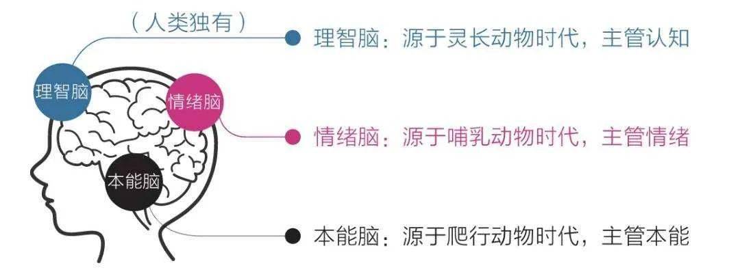 觉醒力量_觉醒力量对照表_觉醒力量怎么确定属性