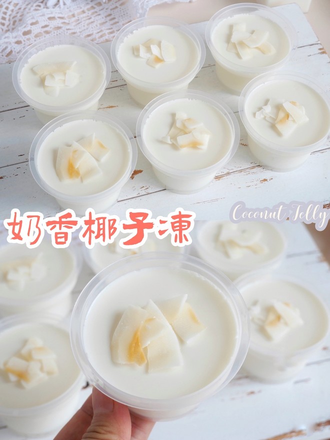 椰趣_椰园四季椰子鸡_趣椰子科技