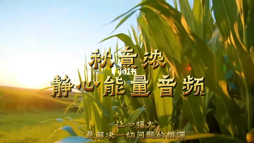 能量平台_能量在线_免费正能量网站正能量已更新