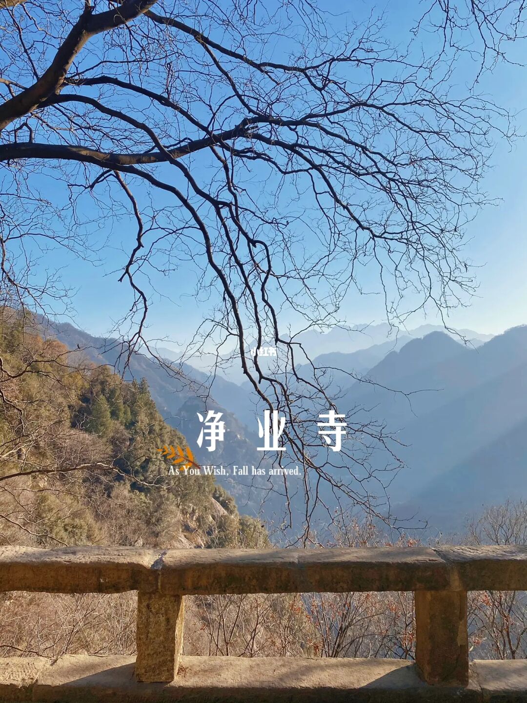 找找小白_寻找小白人10_找到小白的下一句