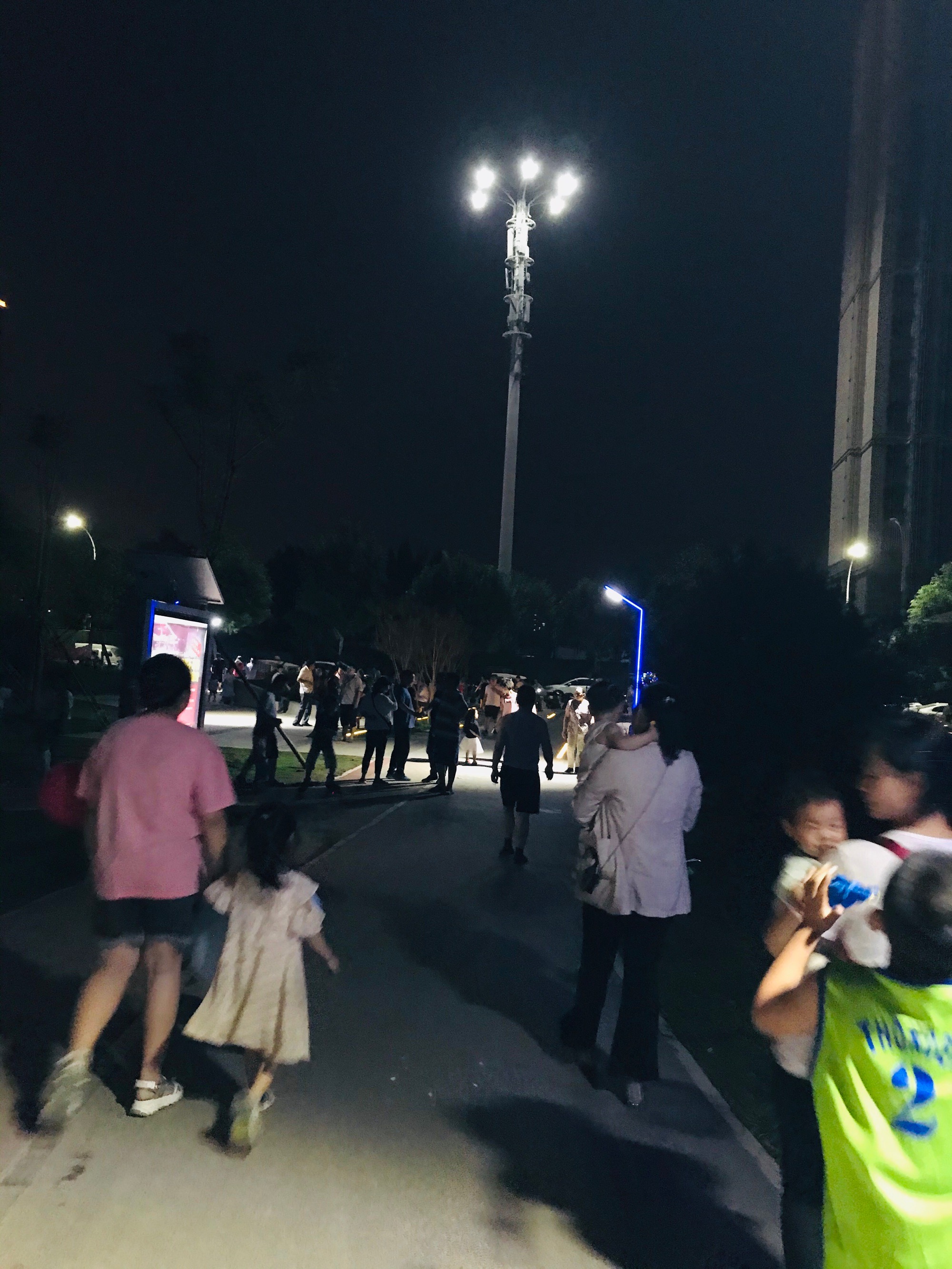 双树_双树婆娑_双树双建