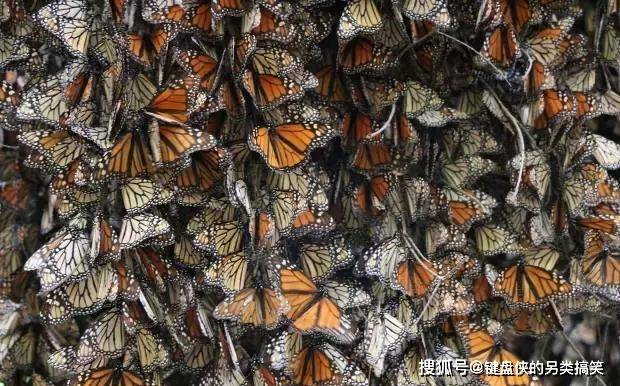 永恒的边缘：勇气与冒险的代名词第2集