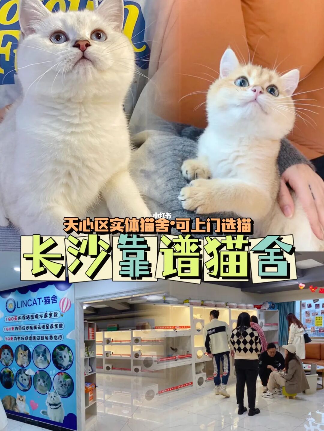 招聘猫上找工作可靠吗_招聘猫怎么发布招聘信息_招聘猫
