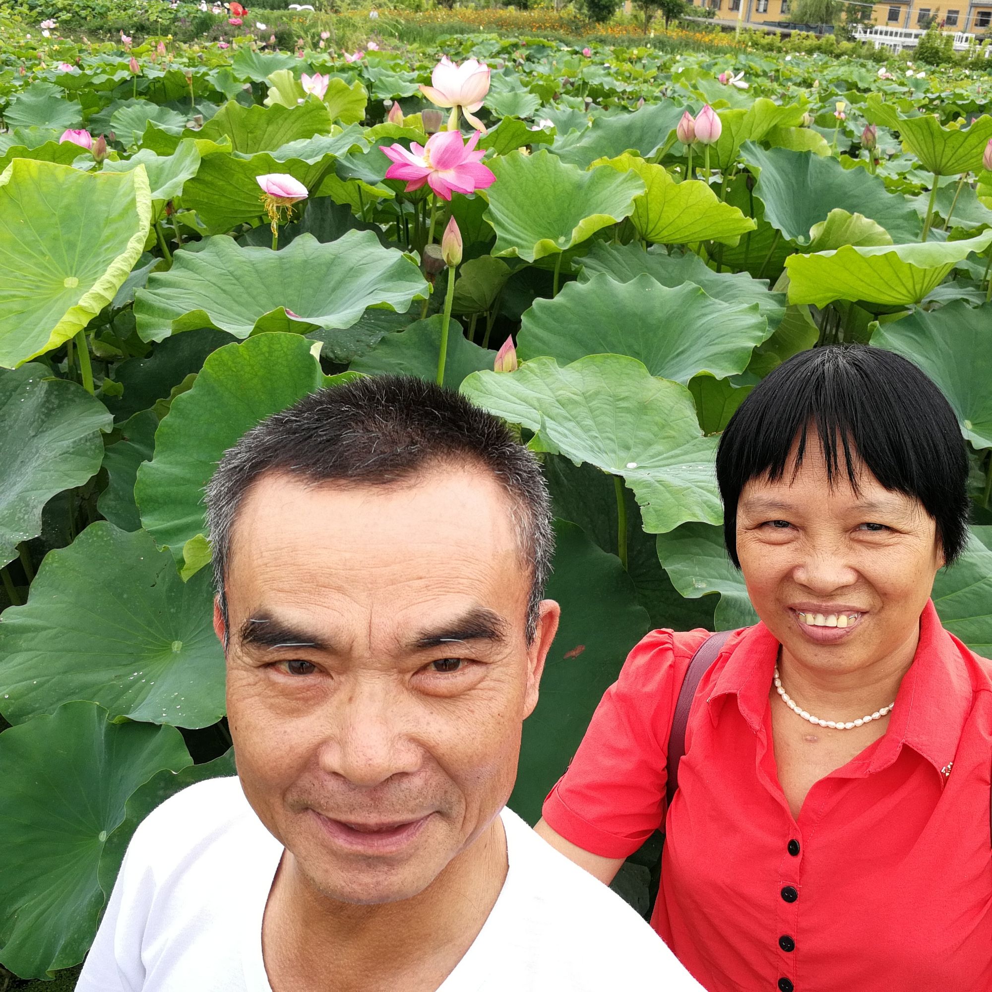 花丛懒回顾半缘修道半缘君_取次花丛懒回顾半缘修道半缘君翻译_取次花丛懒回头半缘修道半缘君