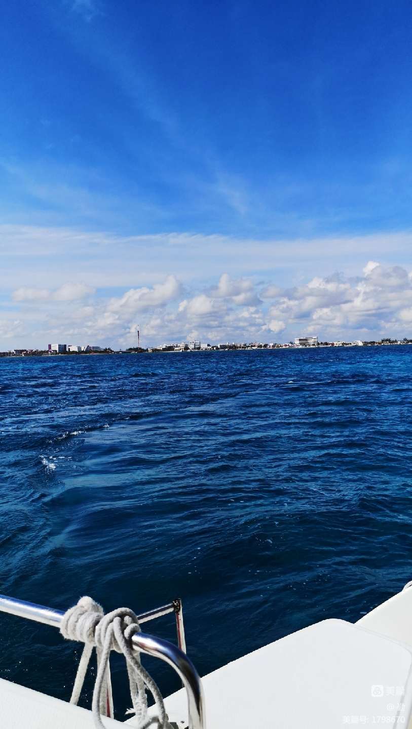 海月连招_海月怎么了_海月骨特效