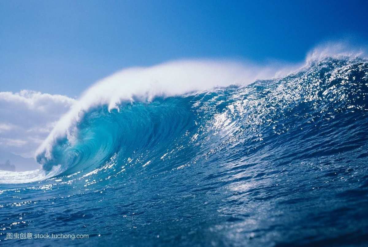 海月骨特效_海月连招_海月怎么了