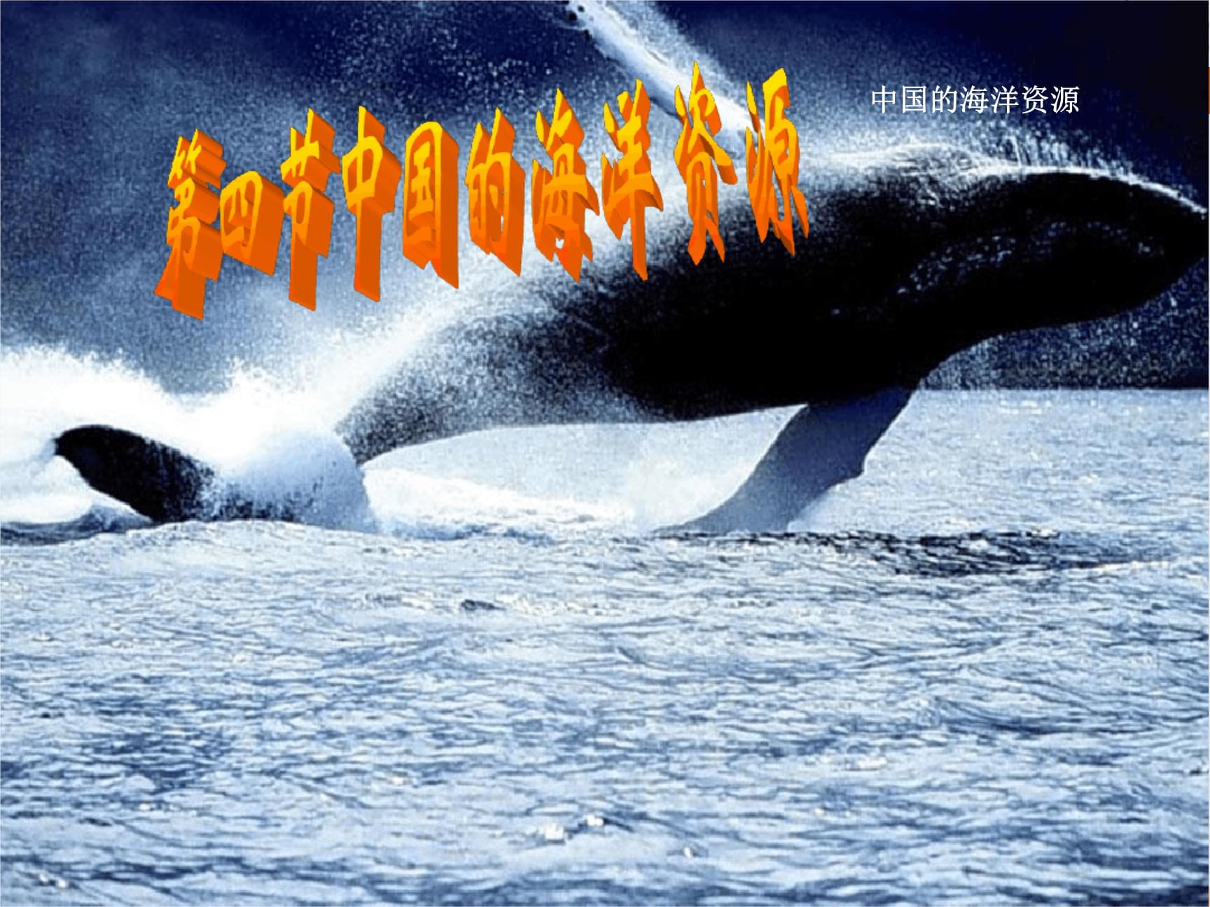 海月连招_海月骨特效_海月怎么了
