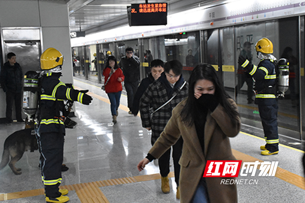 地铁逃生网址_官方地铁逃生_地铁逃生官网入口