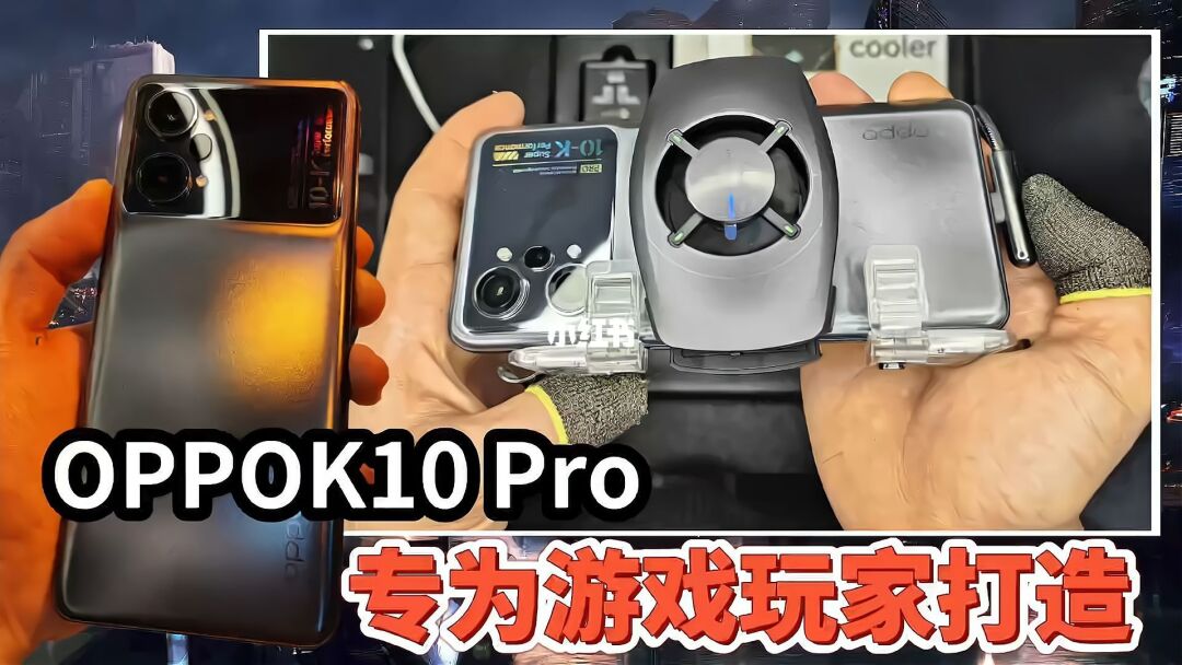 手机大玩家游戏怎么样_玩家下载_下载手机玩家