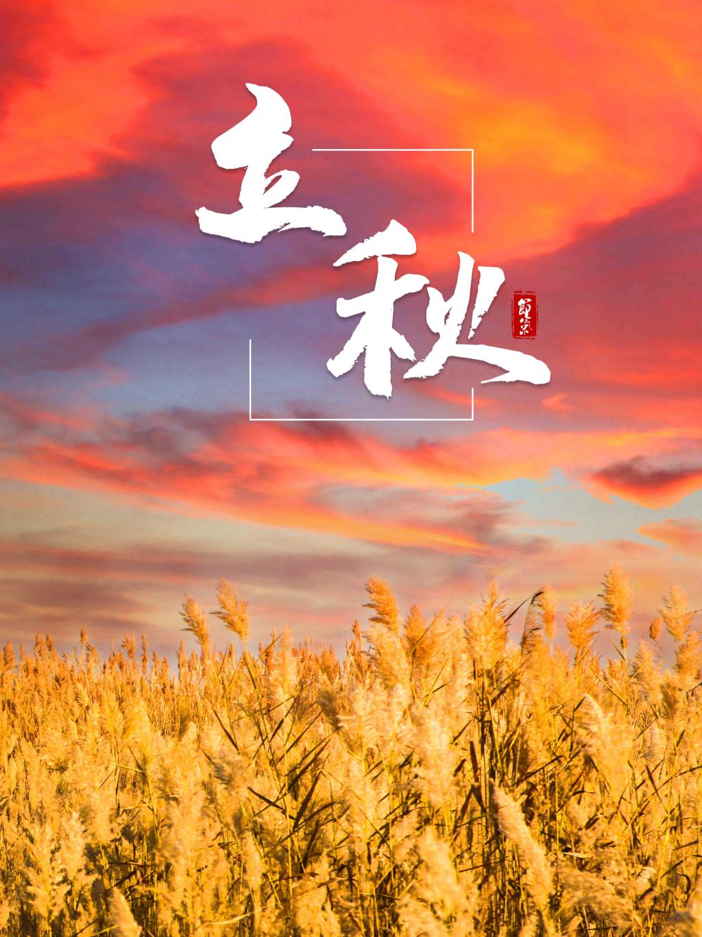 立秋节气的特点_立秋节气的特点和风俗_风俗节气立秋特点有哪些