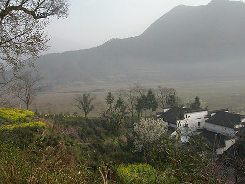 若山诗音_若山诗音_若山诗音