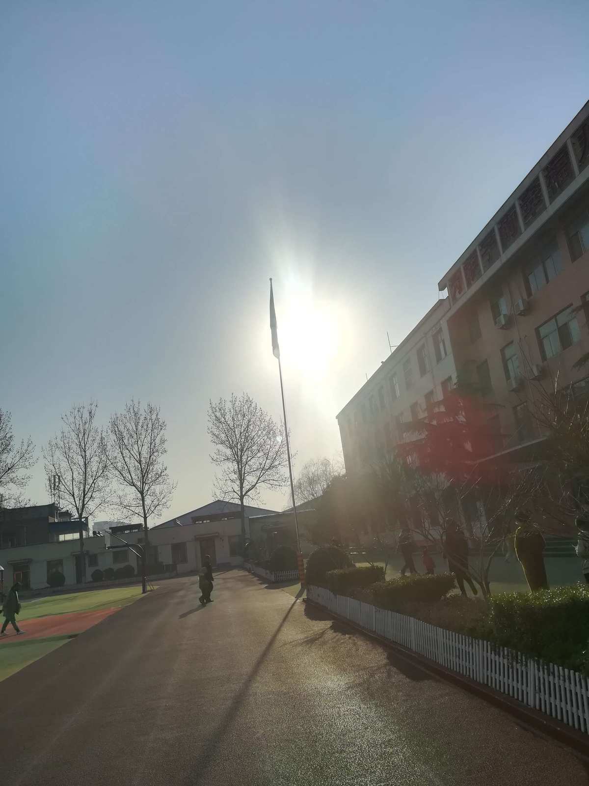 诸星堇_堇星兔_堇星闪耀