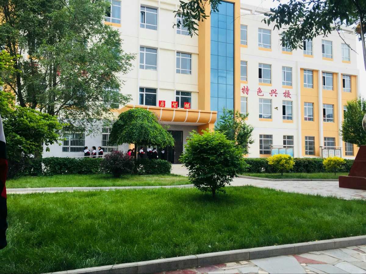 堇星闪耀_堇星兔_诸星堇