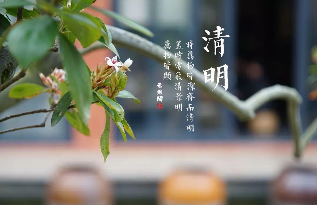 清明时节雨纷纷路上行人欲断魂_清明时节雨纷纷路上行人欲断魂_清明时节雨纷纷路上行人欲断魂