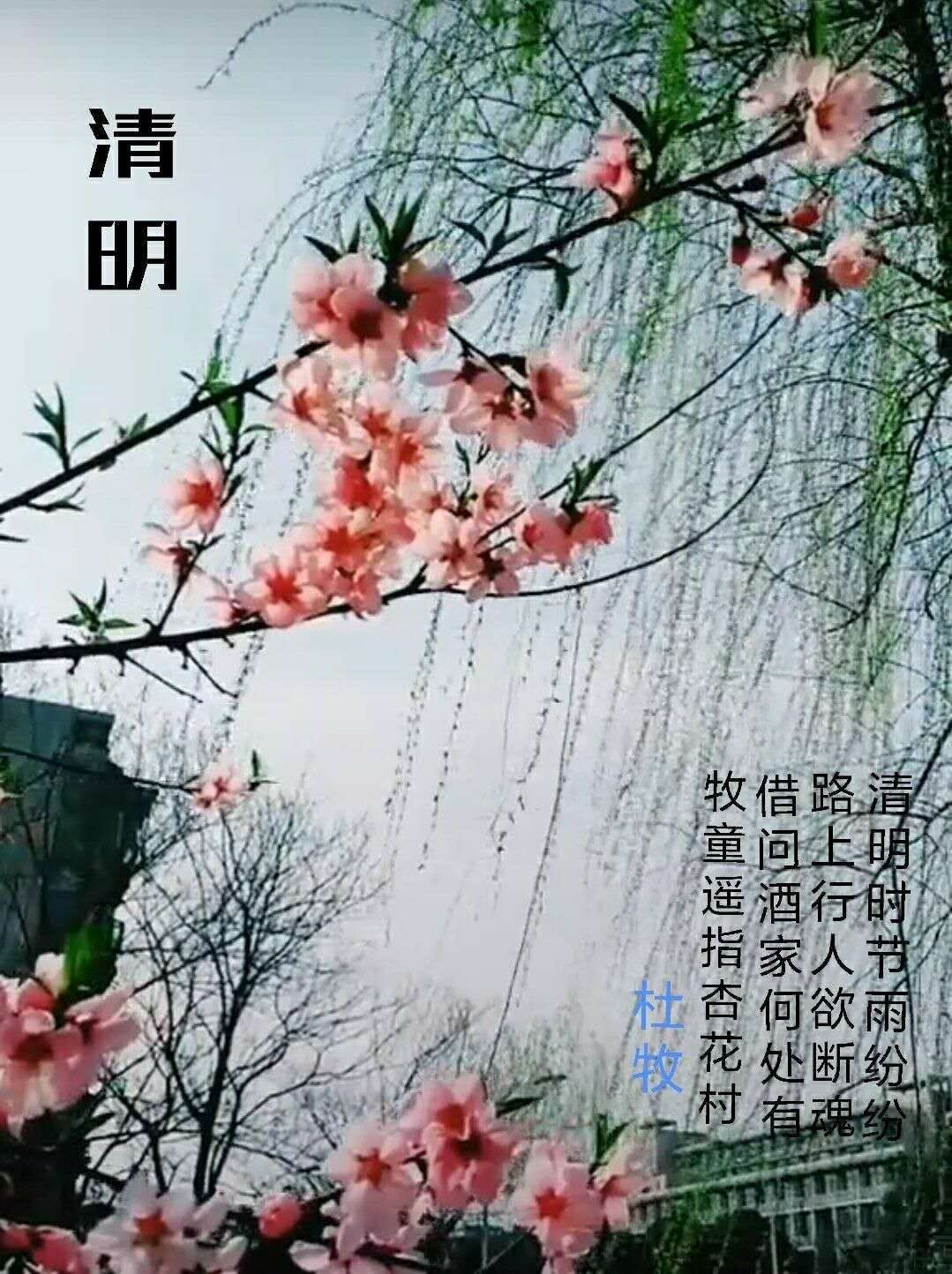 清明时节雨纷纷路上行人欲断魂_清明时节雨纷纷路上行人欲断魂_清明时节雨纷纷路上行人欲断魂
