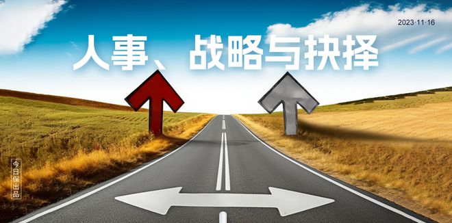 抉择命运后再无修仙的我_命运的抉择_抉择命运事业
