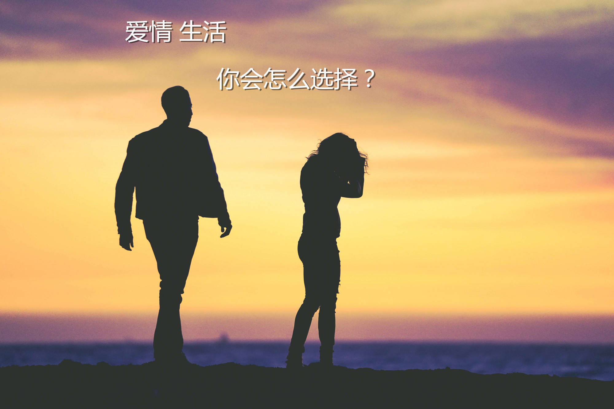 一款很火的对话的恋爱游戏_手机爱情对话游戏_对话恋爱游戏叫什么