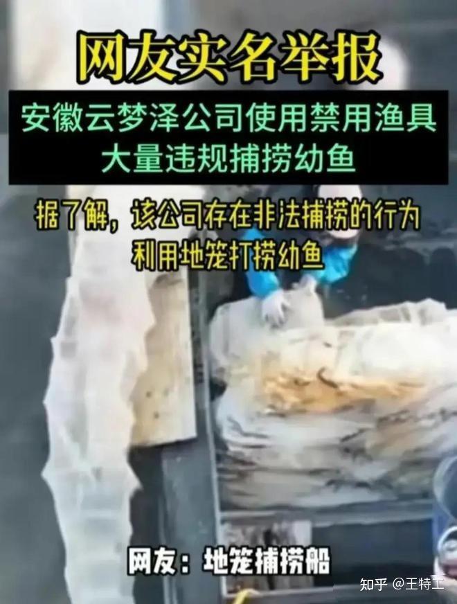 手机版钓鱼游戏_钓鱼手机游戏好玩的_钓鱼版手机游戏