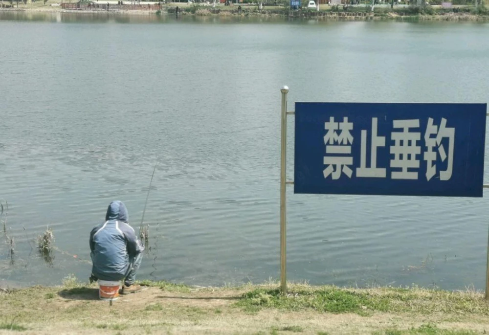 钓鱼版手机游戏_钓鱼手机游戏好玩的_手机版钓鱼游戏