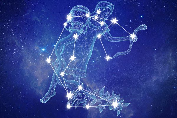 水瓶水象星座_水瓶座象星座_水瓶座是什么象星座
