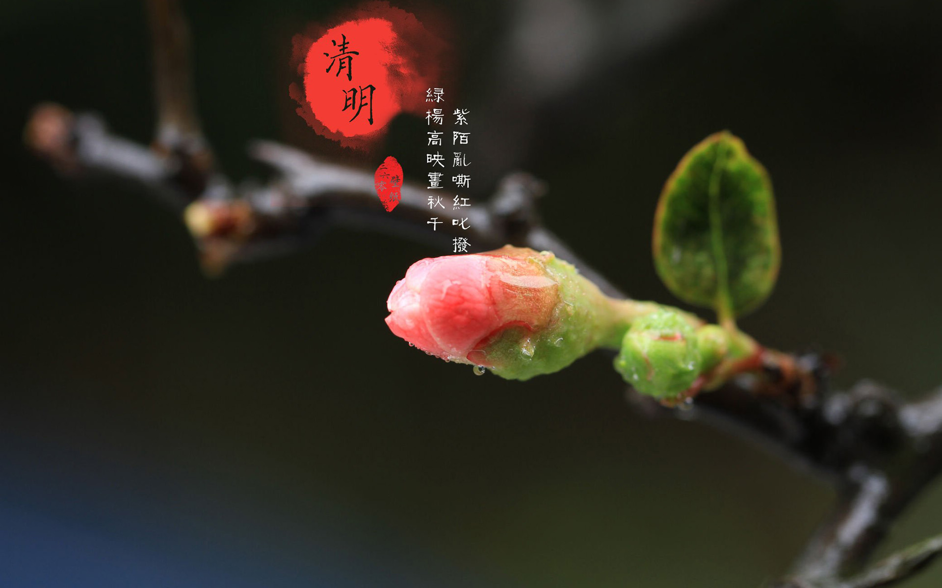 日历节日表大全2024年_2022节日日历表_日历节日表大全2023