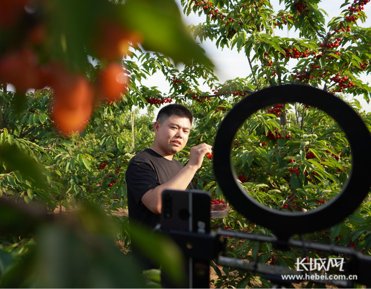 手机游戏直播能赚钱吗_主播手机游戏可以玩吗_手机可以游戏主播吗