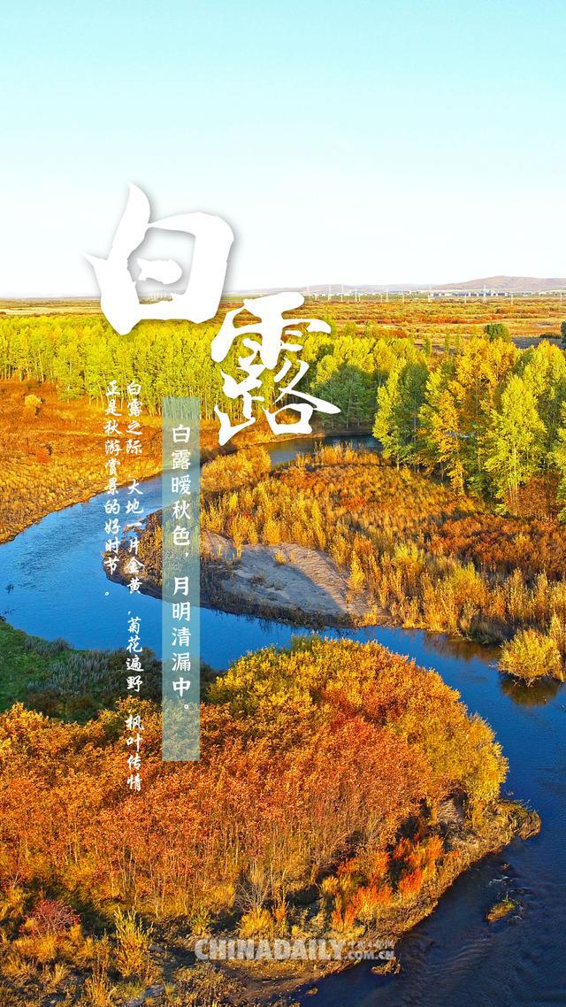 24节气中白露的含义_何为白露节气_白露节气的含义是什么