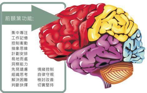单机益智手机游戏_单机知性手机游戏推荐_手机单机知性游戏