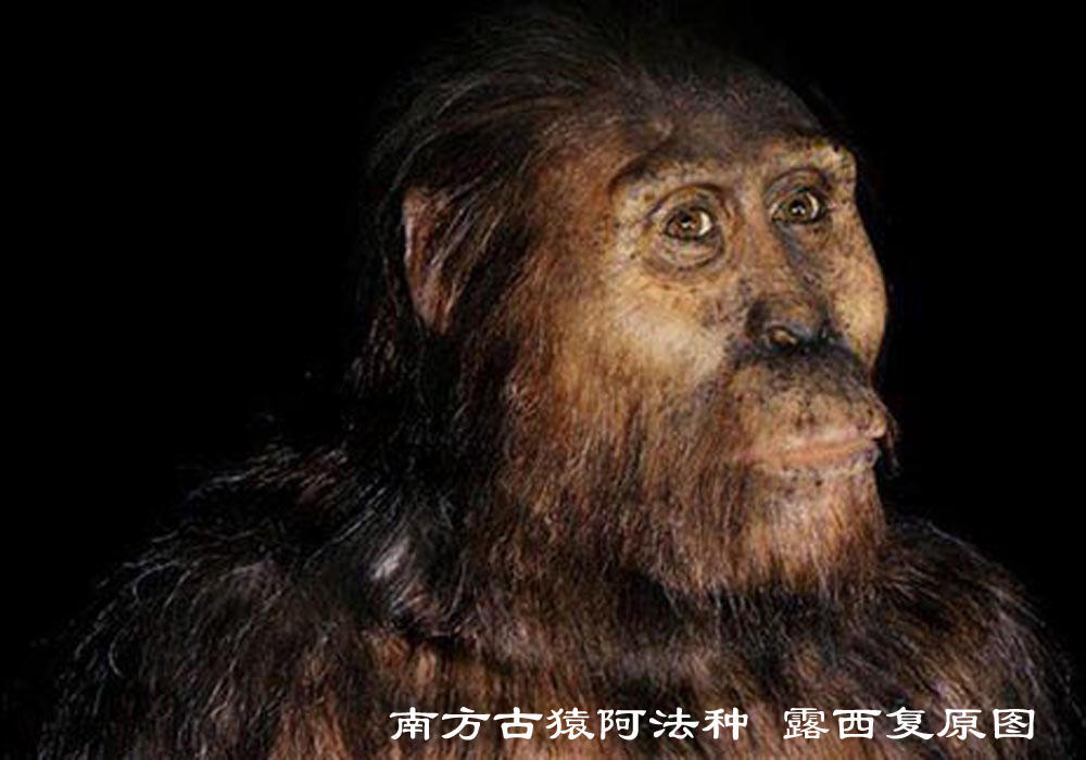 人类进化史游戏中文版_人类进化史诗下载_人类进化史游戏手机版下载