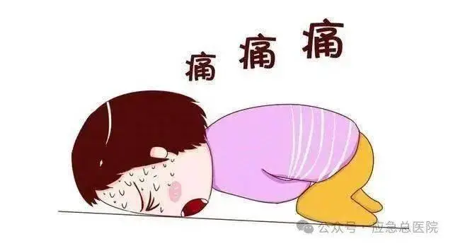 手机骨盆旋转游戏_骨盆旋转手法_骨盆旋转运动视频