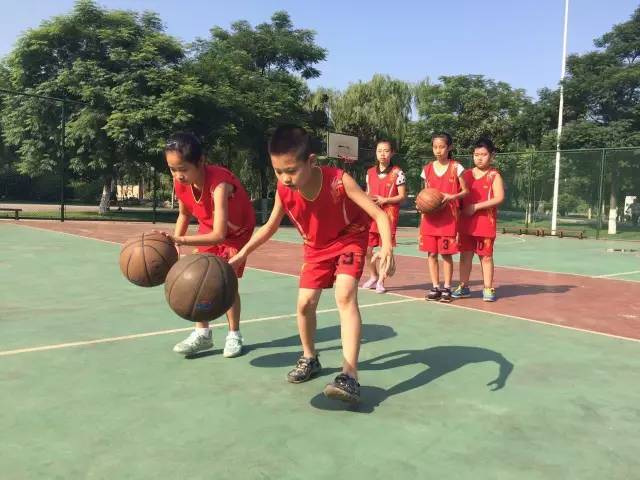 打球适合版手机游戏有哪些_打球的手机游戏_适合打球的游戏手机版