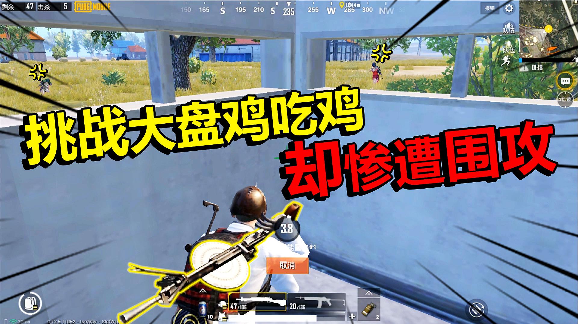 全网最好的手机玩吃鸡游戏_鸡吃虫子的游戏_手机喂鸡游戏