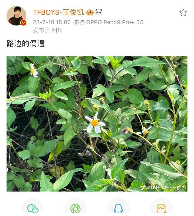 王俊凯生日_王俊凯生日图片_王俊凯生日密码6位数字