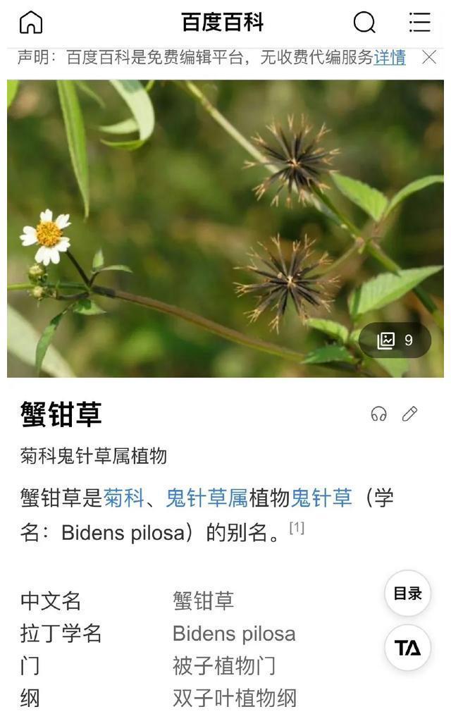 王俊凯生日密码6位数字_王俊凯生日图片_王俊凯生日