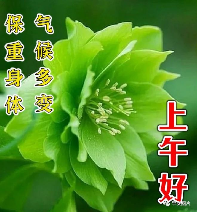 田左右出头_左右田和一_田左右结构的字有哪些