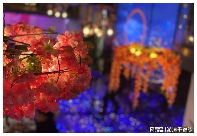 樱花萌放为什么叫樱花摸鱼_樱花萌放是全年龄吗_樱花萌放