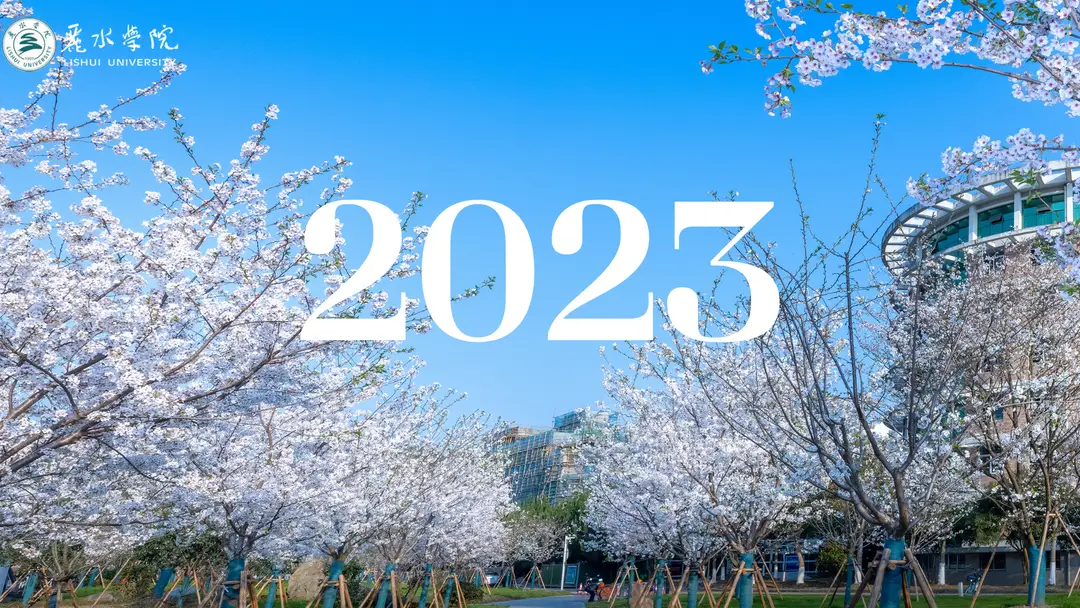 2023年11月日历_2023的日历表_2023年曰历表