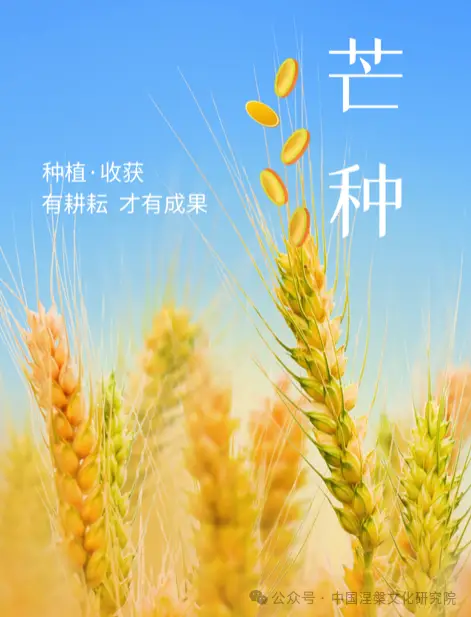 芒种是什么_芒种是收麦子的季节吗_芒种是夏季第几个节气