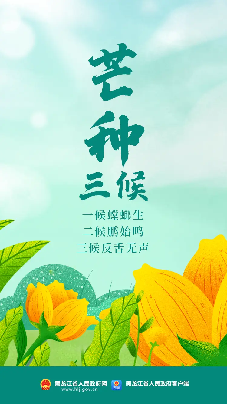 芒种是什么_芒种是夏季第几个节气_芒种是收麦子的季节吗