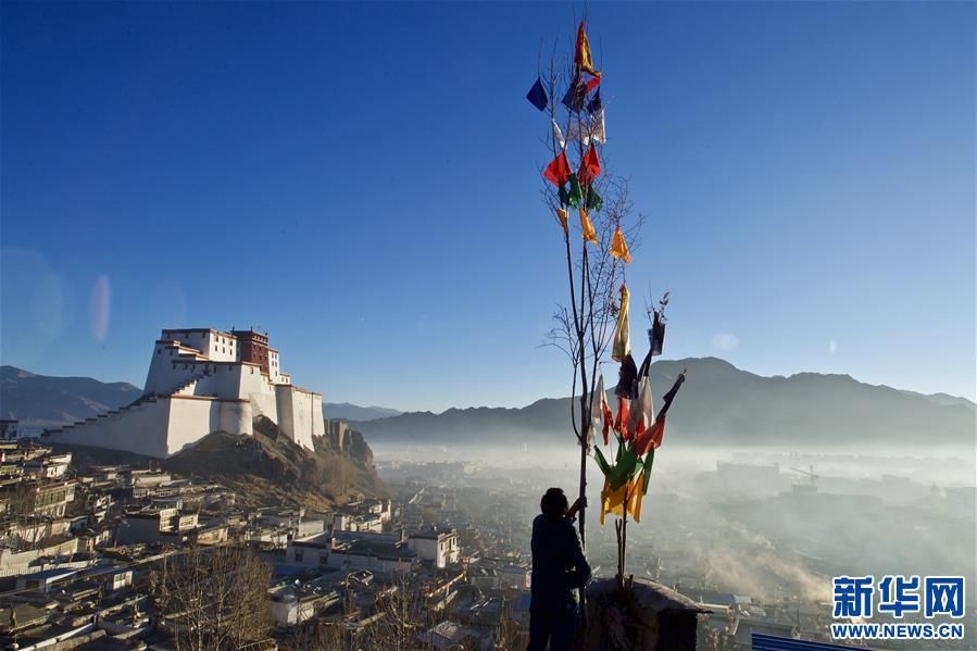 羊神山古茶园在哪里_羊神山古树茶_神山羊