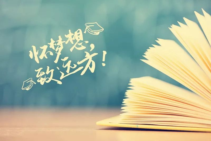 奈松健康科技(上海)有限公司_松井加奈_松井加奈
