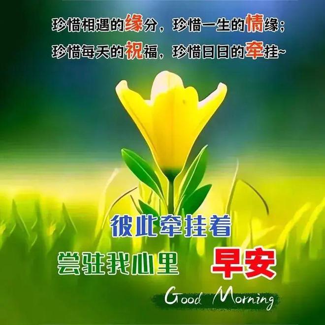 2021年简短寄语_2022年寄语简短_2020简短寄语