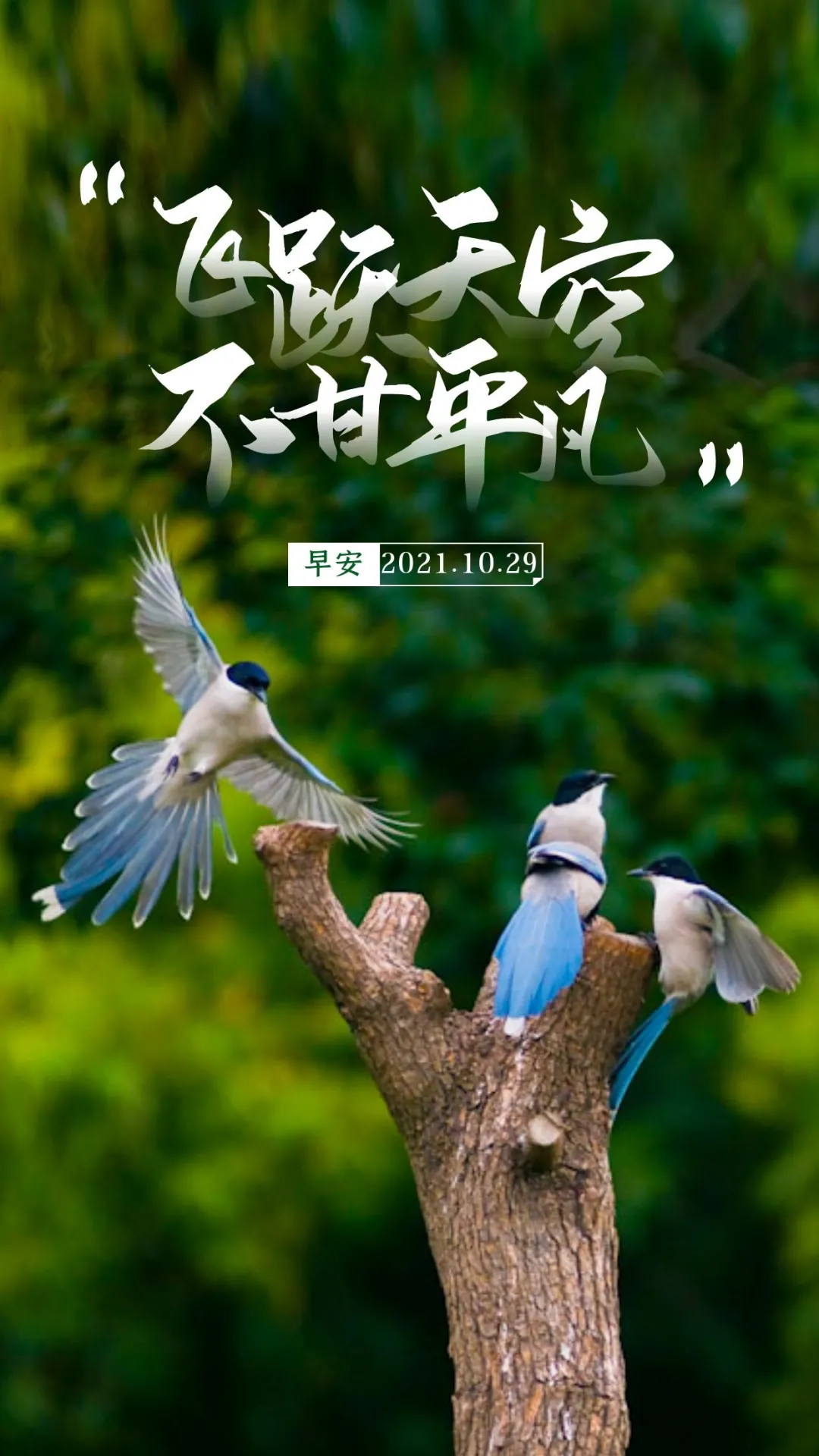 2021年简短寄语_2020简短寄语_2022年寄语简短