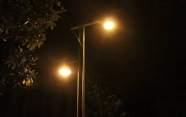 生命之光梦久夜_九夜茴_久夜