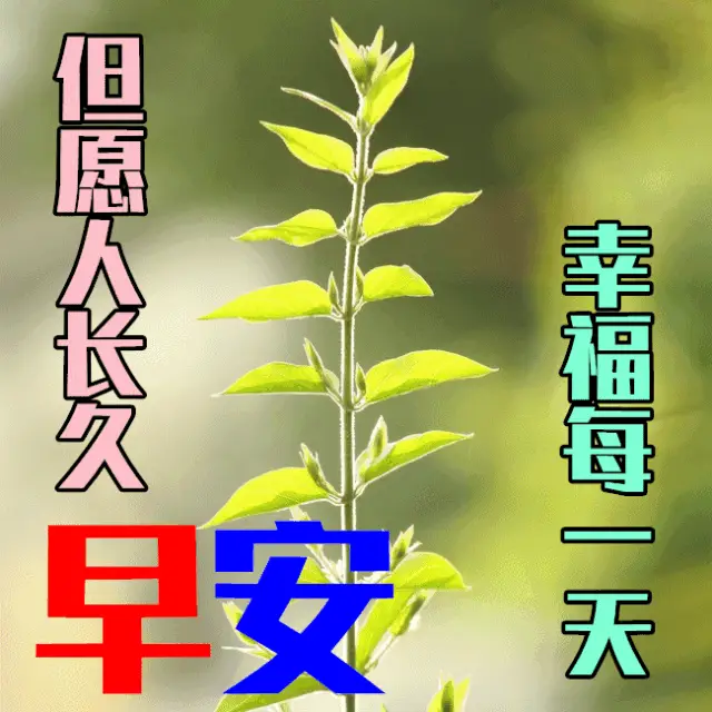 手机版情侣游戏_情谊手机游戏_友情手游