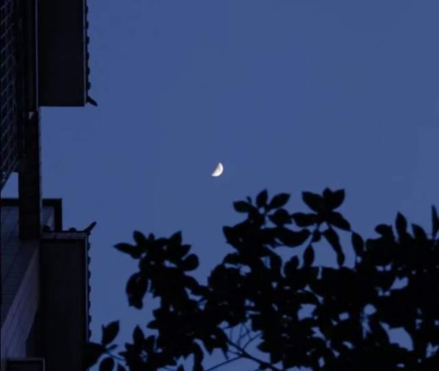 有没有色的手机游戏_有没有色的手机游戏_有没有色的手机游戏